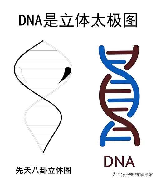 亲子鉴定正规医院可以做吗_亲子鉴定可以直接去医院做吗_dna亲子鉴定哪个医院可以做