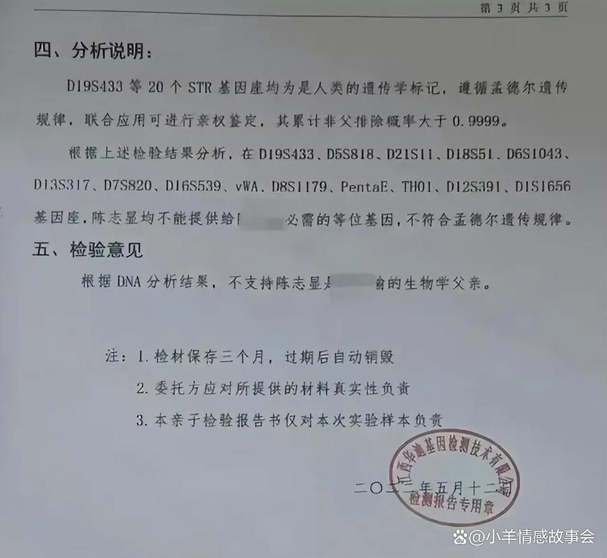天津亲子鉴定_天津亲子摄影_天津儿童亲子摄影