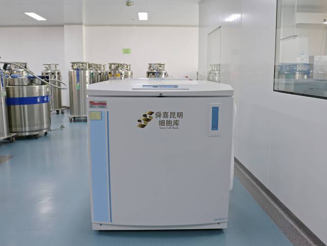 武汉做基因检测需要多少钱_武汉最好的基因检测公司_武汉基因检测多少钱