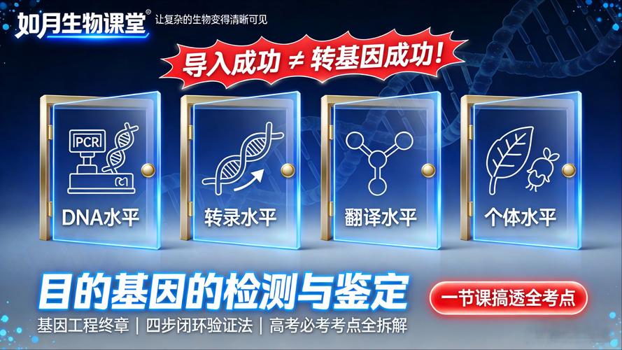 基因检测结果查询_基因检测结果不准怎么办_基因准办检测结果怎么看