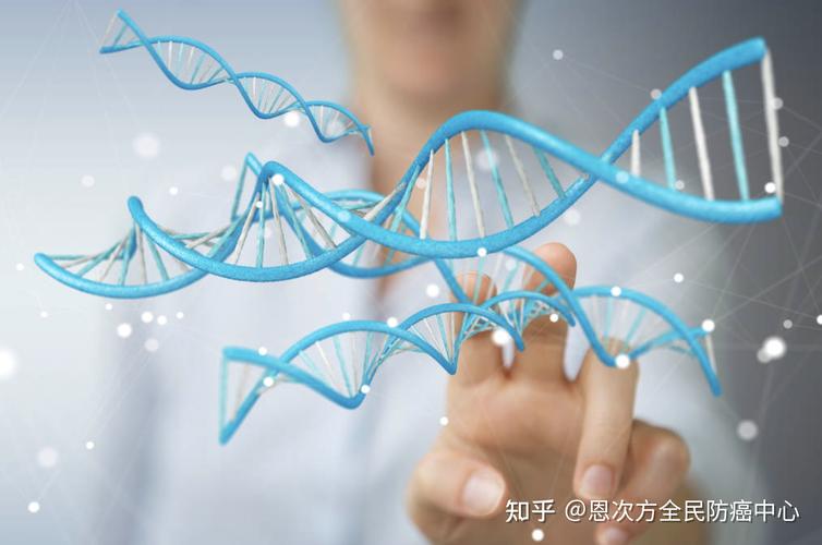 癌症基因检测怎么做_癌症基因检测_癌症基因检测多少钱