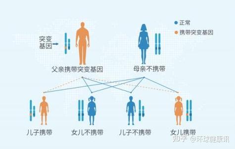 基因准办检测结果怎么看_基因检测报告查询_基因检测结果不准怎么办