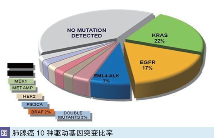 肺癌基因检测的作用与意义_肺癌相关基因检测_基因肺癌意义检测作用有哪些