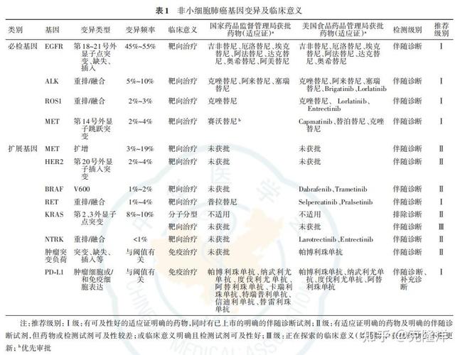 肺癌基因检测多少钱一次_肺癌检测基因的作用是什么_肺癌检测基因突变3个