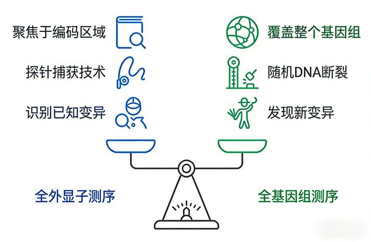 基因组测序方法_全基因组测序_基因组测序的英文