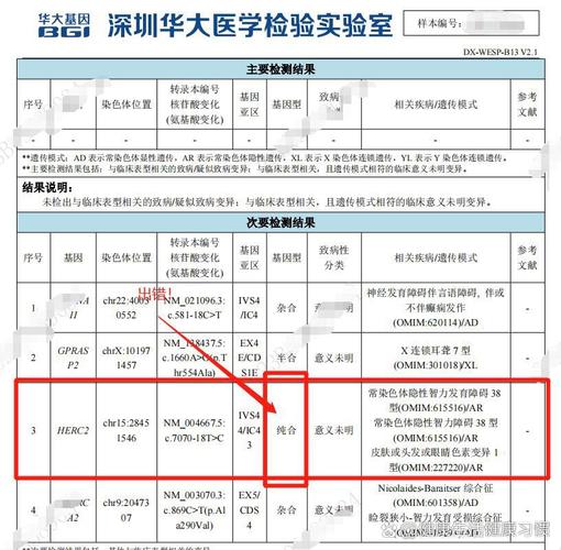基因准确率检测方法_基因怎么检测_基因检测准确率多少